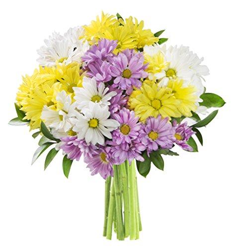 Algopix Similar Product 16 - KaBloom Colorful Daisy Bouquet of