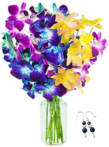Algopix Similar Product 6 - KaBloom Exotic Rainbow Orchid Bouquet
