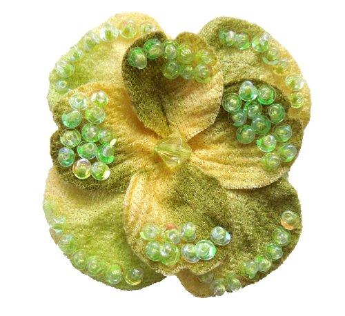 Algopix Similar Product 5 - Cuteque International Inc 6 pieces of