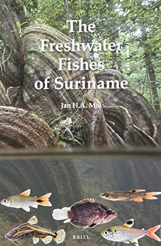 Algopix Similar Product 15 - The Freshwater Fishes of Suriname