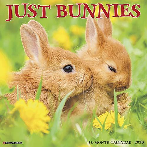 Algopix Similar Product 10 - Just Bunnies 2020 Wall Calendar