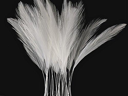 Algopix Similar Product 11 - Rooster Feathers  White Stripped