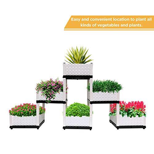 Algopix Similar Product 14 - Six Raised Garden Beds for Planting 