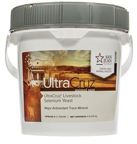 Algopix Similar Product 20 - UltraCruz Livestock Selenium Yeast 4
