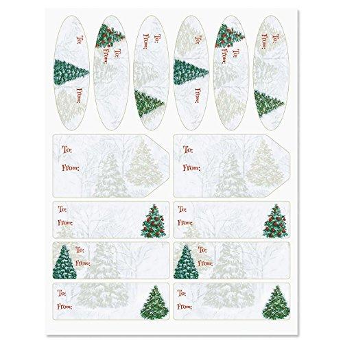 Algopix Similar Product 5 - Fantasy Forest Labels Set of 42 of