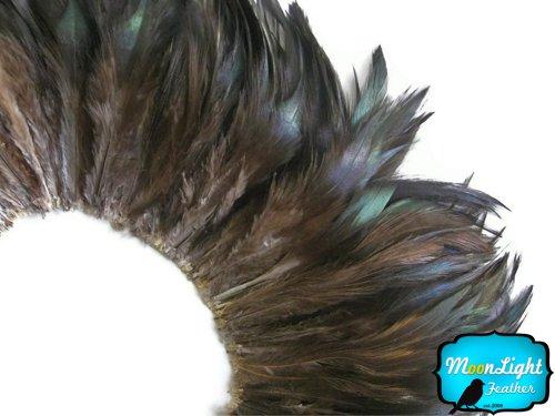 Algopix Similar Product 12 - Rooster Feathers Natural Black Rooster