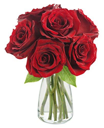 Algopix Similar Product 19 - KaBloom Romantic Red Roses 6 Fresh Cut