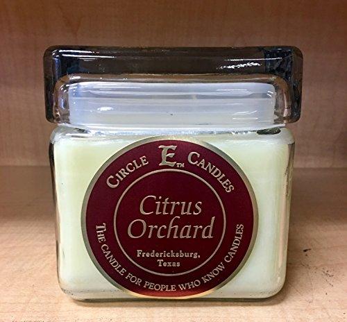 Algopix Similar Product 15 - Circle E 28oz Citrus Orchard Candle