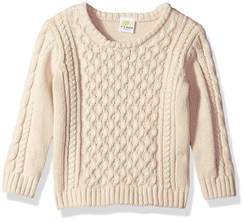 Algopix Similar Product 8 - Crazy 8 Baby Boys Pullover Sweater