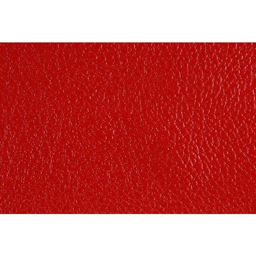 Algopix Similar Product 6 - Parts Express Marshall Style Red Bronco