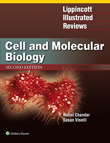 Algopix Similar Product 11 - Lippincott Illustrated Reviews Cell
