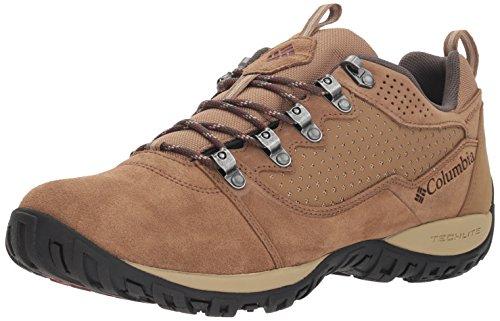 Algopix Similar Product 9 - 