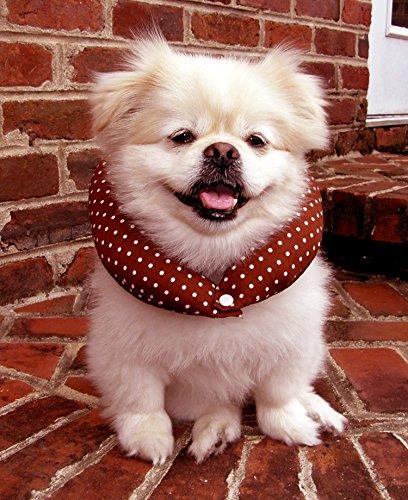 Algopix Similar Product 2 - Puppy Bumper  Keep Your Dog on the