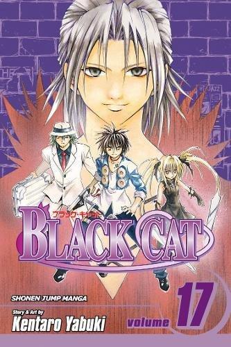 Algopix Similar Product 14 - Black Cat, Vol. 17