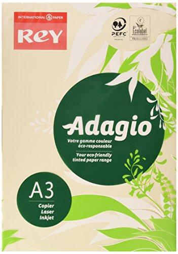 Algopix Similar Product 19 - Adagio ADAGI080X667 A3 80 GSM Rey Paper