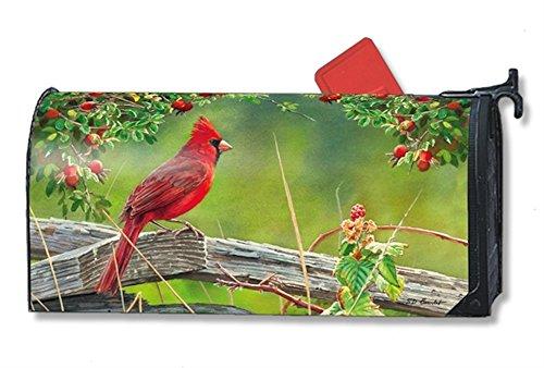 Algopix Similar Product 6 - Cardinal Lookout Large MailWraps