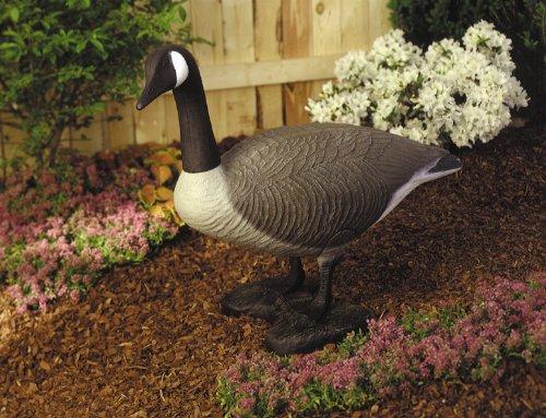 Algopix Similar Product 16 - Flambeau 5994LO Standing Canada Goose
