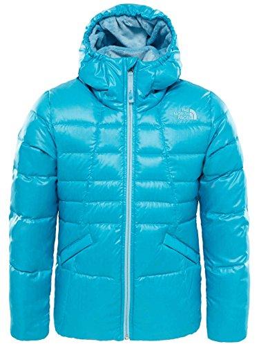 Algopix Similar Product 19 - The North Face Kids Moondoggy 20 Down