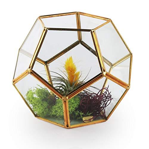 Algopix Similar Product 15 - Circleware 03510 Terraria
