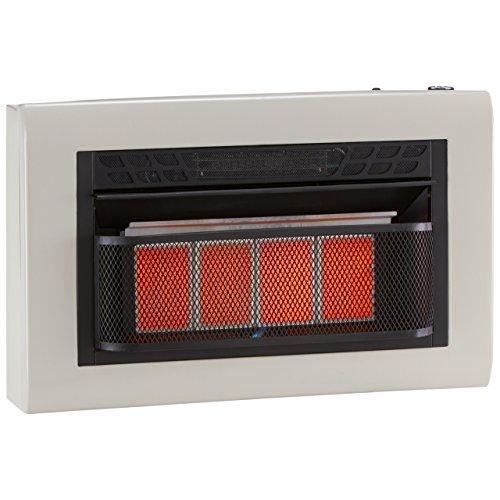 Algopix Similar Product 14 - Cedar Ridge Hearth Dual Fuel Ventless