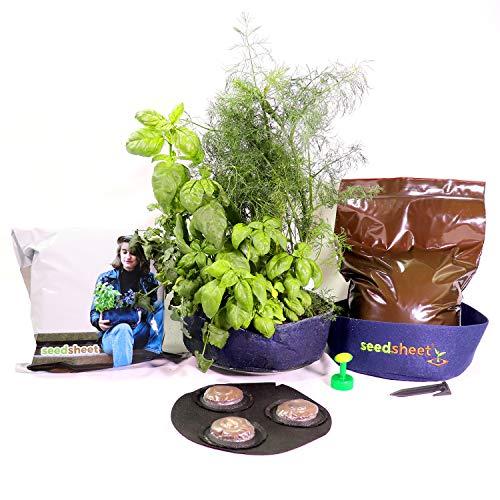 Algopix Similar Product 3 - Seedsheet Grow Your Own Mini Herbs