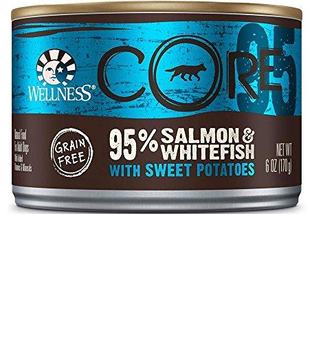 Algopix Similar Product 14 - Wellness CORE GrainFree 95 Salmon 