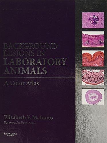 Algopix Similar Product 4 - Background Lesions in Laboratory