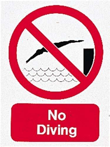 Algopix Similar Product 8 - Water Sports No Diving Sign Pool Dive