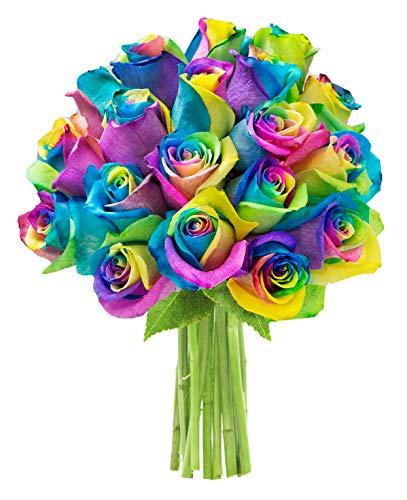 Algopix Similar Product 9 - KaBloom Bouquet of 18 Fresh Rainbow