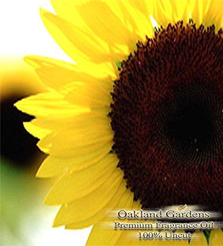 Algopix Similar Product 9 - BULK Fragrance Oil  SUNFLOWER TYPE