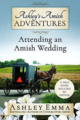 Algopix Similar Product 20 - Ashleys Amish Adventures Attending an