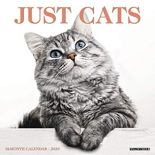 Algopix Similar Product 14 - Just Cats 2020 Wall Calendar
