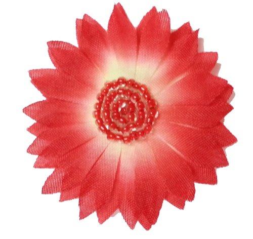 Algopix Similar Product 20 - Cuteque International 12Piece Daisy