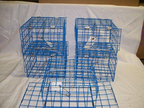 Algopix Similar Product 11 - E-Z Catch 2 Door Non Folding Trap, Blue