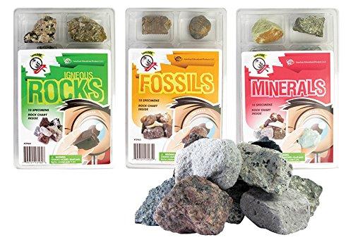 Algopix Similar Product 14 - Beckers School Supplies Rocks 