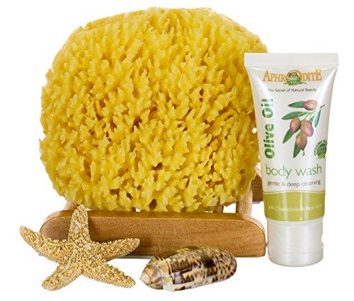 Algopix Similar Product 17 - SeaSationals Natural Yellow Sea Sponge