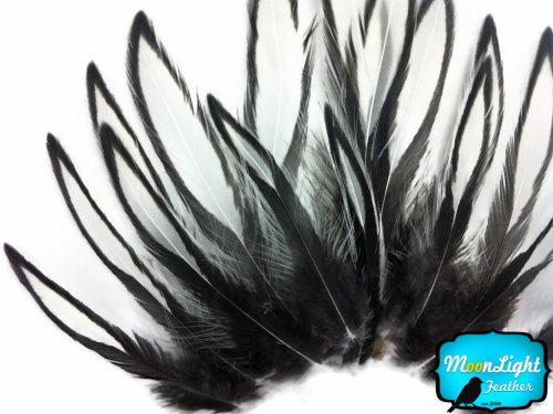Algopix Similar Product 7 - Hen Feathers Laced Hen  Natural White