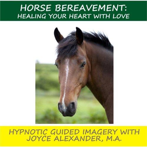 Algopix Similar Product 17 - Horse Bereavement Healing Your Heart
