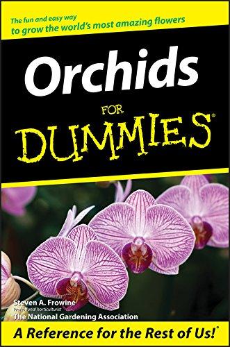 Algopix Similar Product 17 - Orchids For Dummies