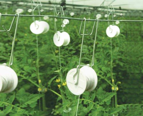 Algopix Similar Product 4 - GrowBiggerPlants RollerHook Tomato Vine