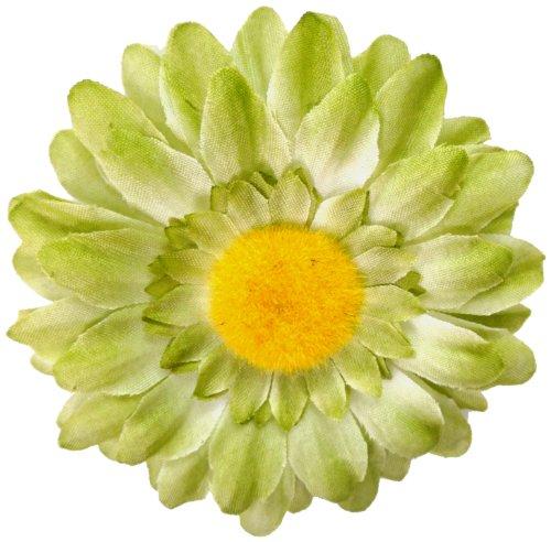 Algopix Similar Product 5 - Cuteque International Inc 6 pieces of