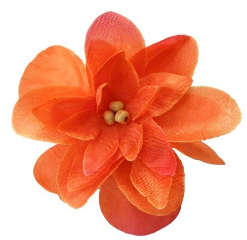 Algopix Similar Product 1 - Cuteque International Inc 6 pieces of