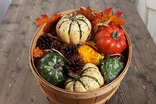 Algopix Similar Product 14 - Factory Direct Craft Artificial Autumn