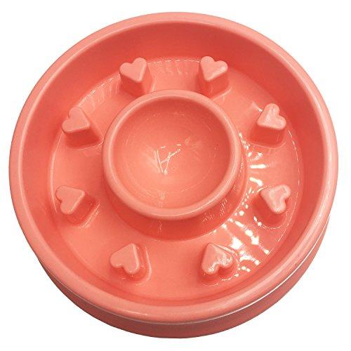 Algopix Similar Product 19 - Pet Cuisine Slow Feeder Dog Bowl