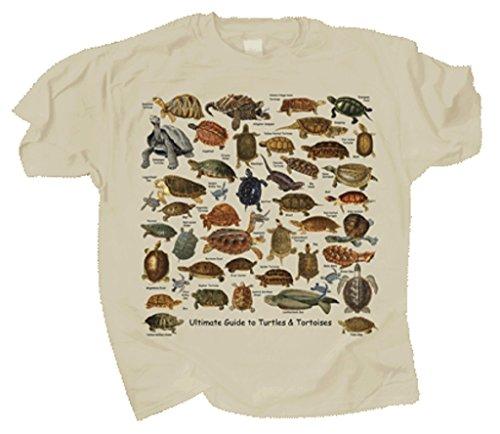 Algopix Similar Product 6 - Ultimate Turtle  Tortoise Guide Adult