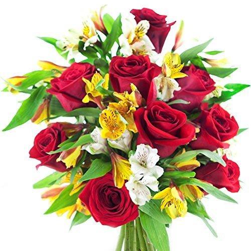 Algopix Similar Product 15 - KaBloom Peruvian Classic Red Roses and