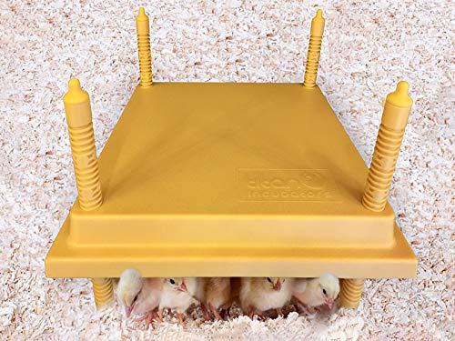 Algopix Similar Product 1 - Titan Incubators 12 X 12 Brooder