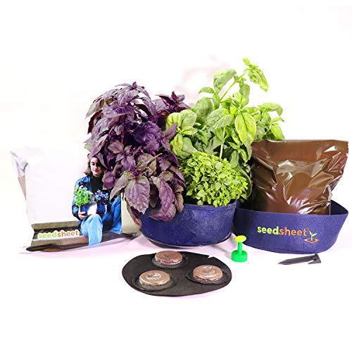 Algopix Similar Product 2 - Seedsheet Grow Your Own Mini Pesto