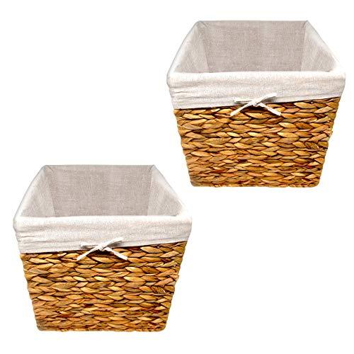 Algopix Similar Product 1 - Trademark Innovations 119 Hyacinth