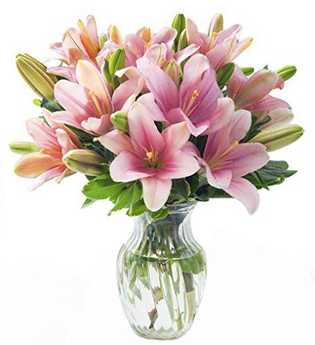 Algopix Similar Product 6 - California Grown Collection Bouquet of
